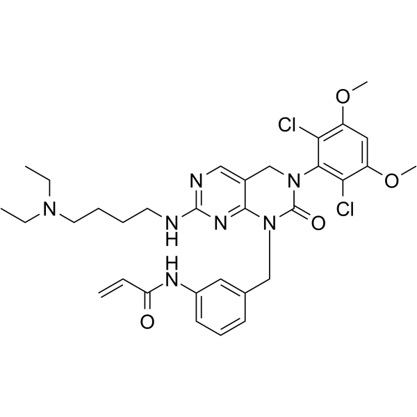 FIIN-1 Structure