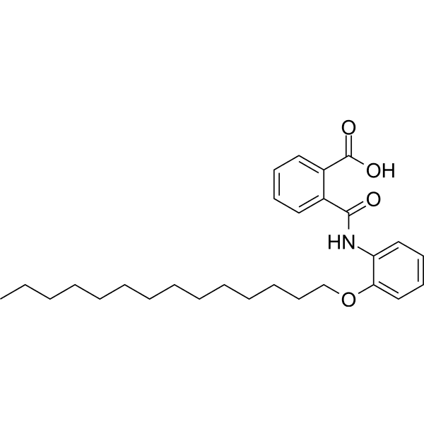 CX08005  Structure