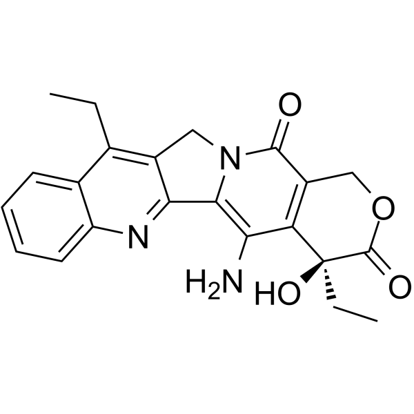 TH1338  Structure