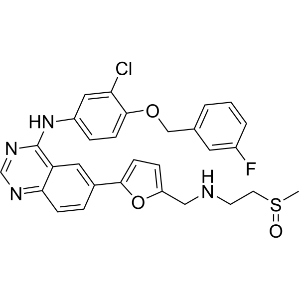 Selatinib  Structure