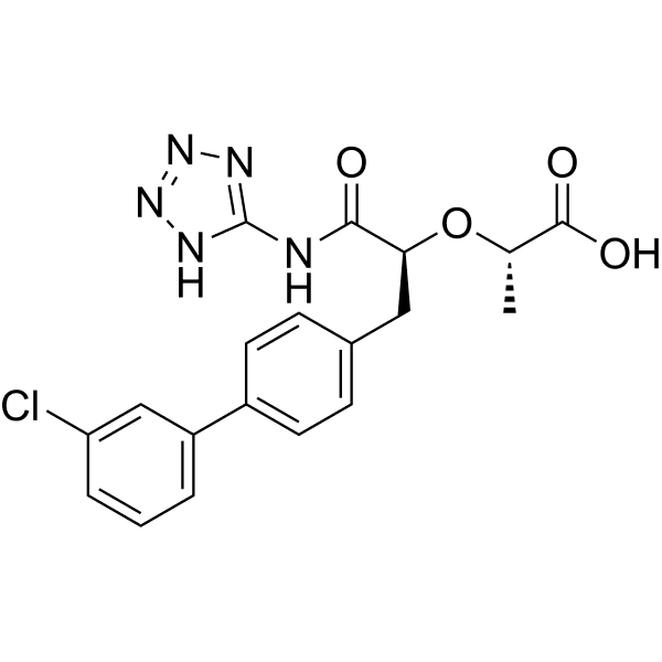 WM-662 Structure