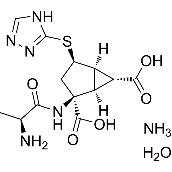 LY2979165  Structure