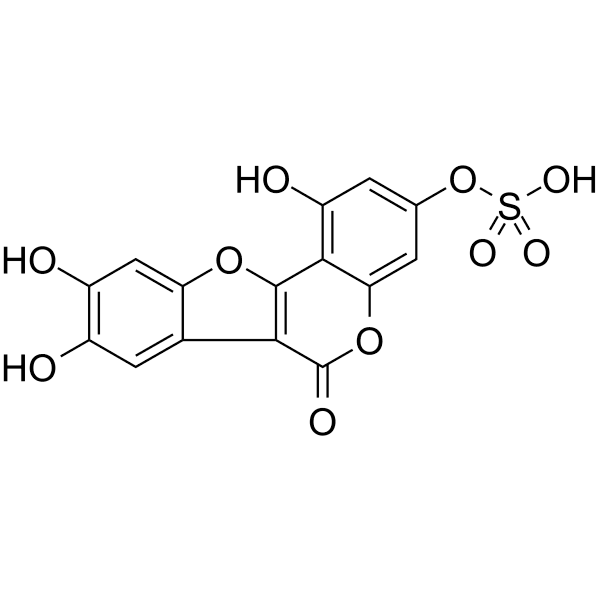 Demethylwedelolactone Sulfate Structure