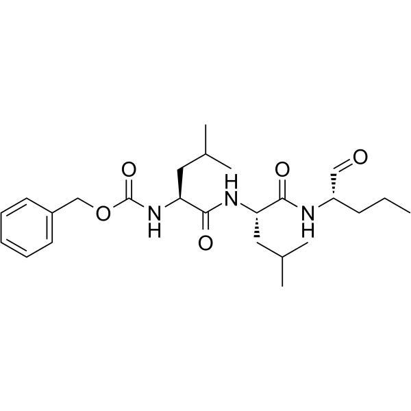 MG-115  Structure