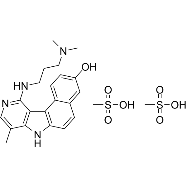 Intoplicine dimesylate Structure