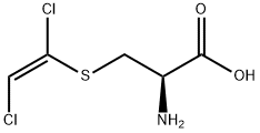 DCVC Structure