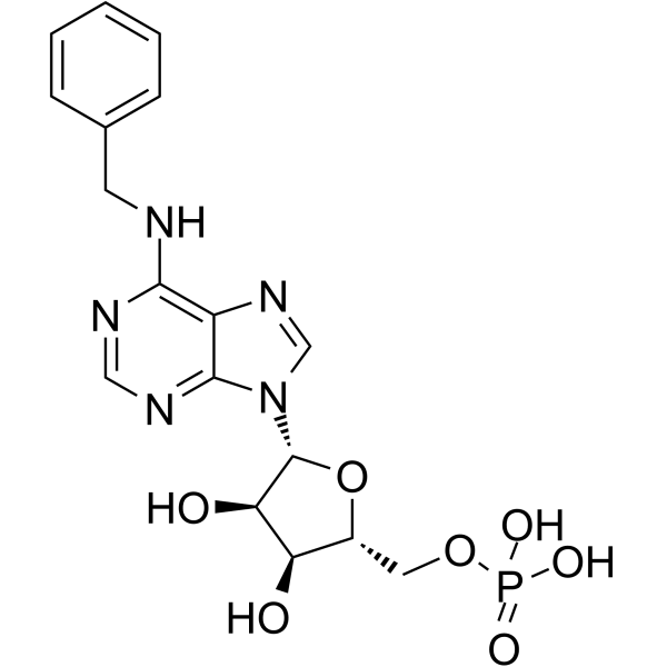 IST5-002 Structure