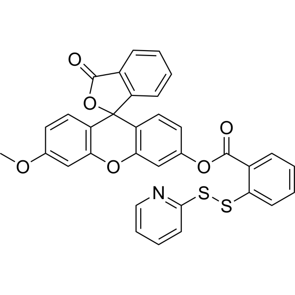 WSP-1 Structure