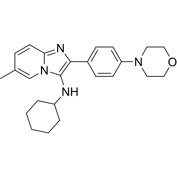 EP6 Structure