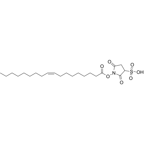 Sulfosuccinimidyl oleate Structure
