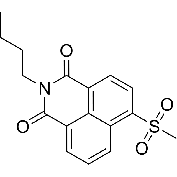 MSBN  Structure