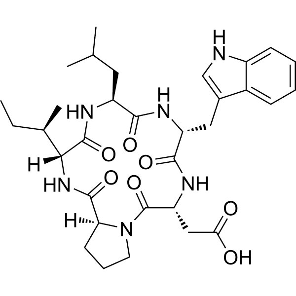 JKC 301 Structure