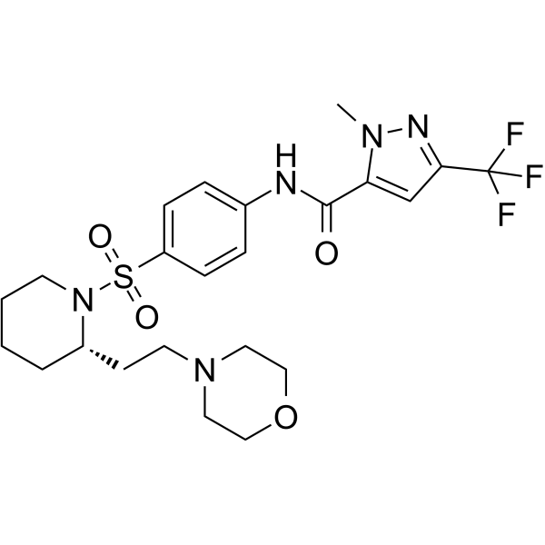 ERDRP-0519  Structure