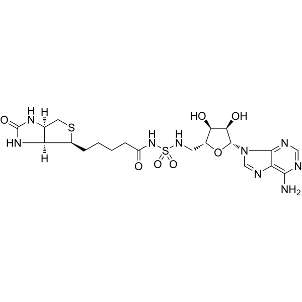 Bio-AMS Structure