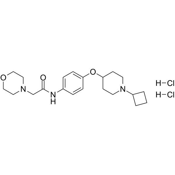 Samelisant Structure