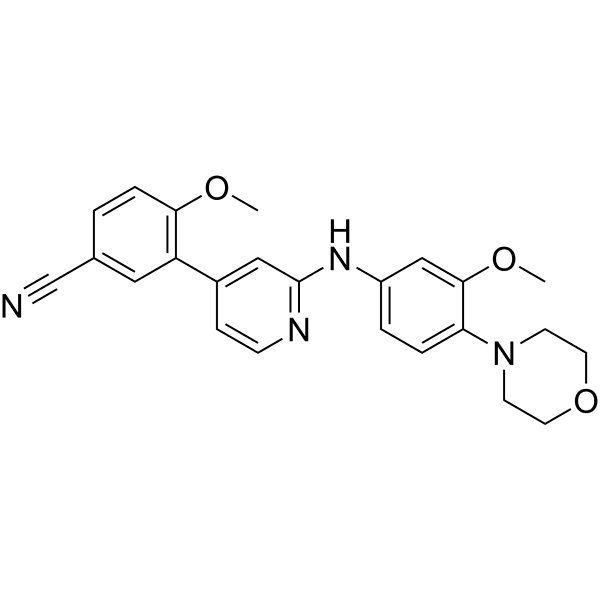 TINK-IN-1 Structure