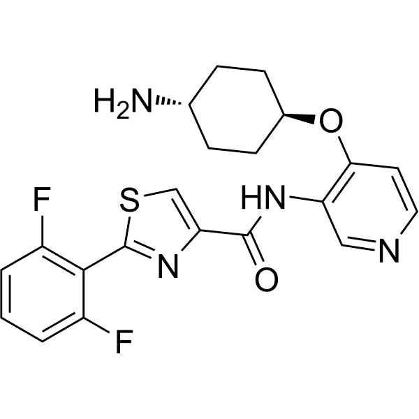 FD1024 Structure