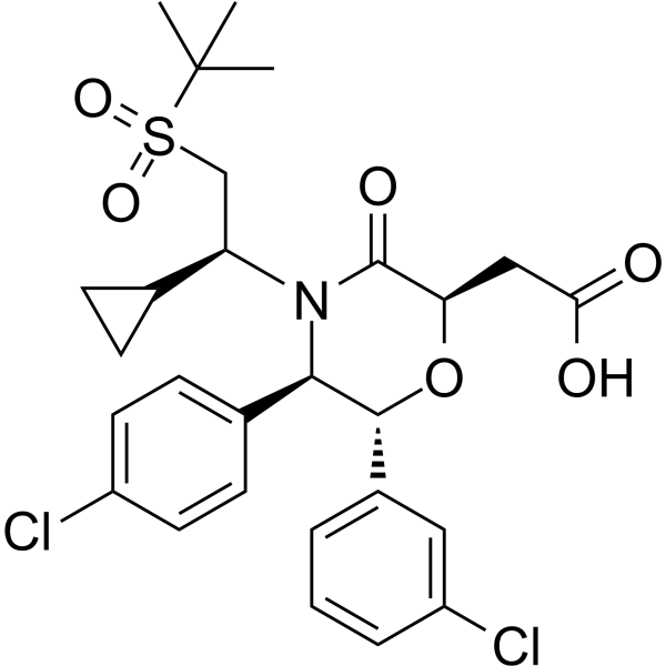 AM-8735  Structure
