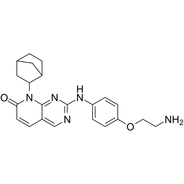 VI 16832  Structure