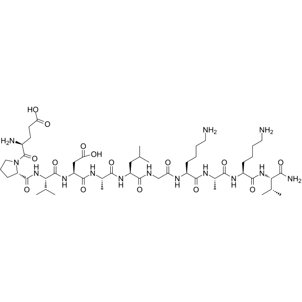 NoxA1ds Structure