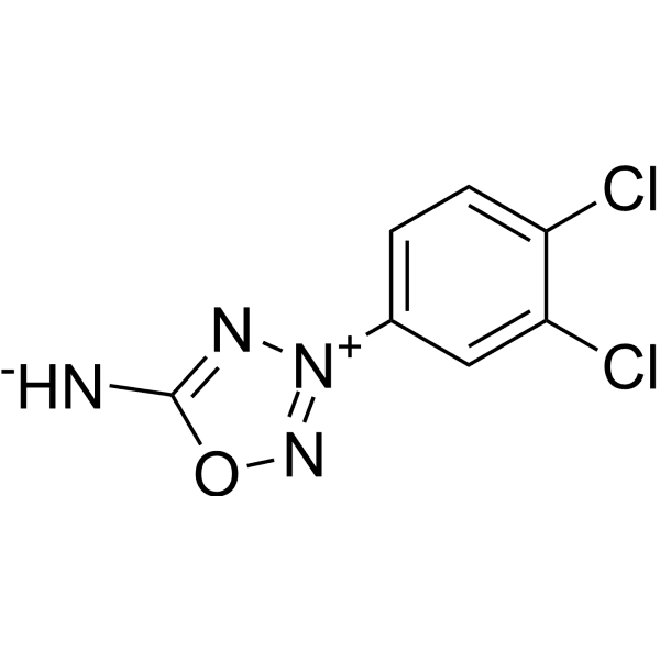 GEA 3162 Structure