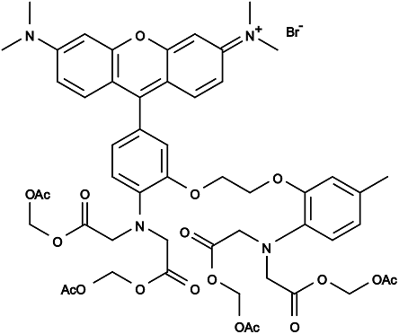 Rhod-2 AM Structure