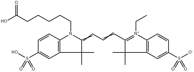 CY3 Structure