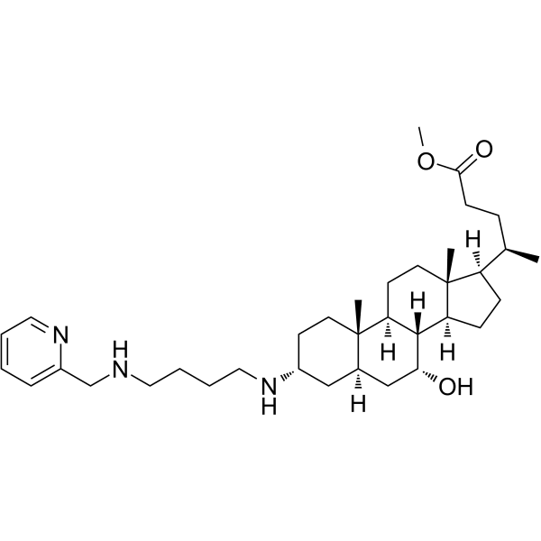 DPM-1001  Structure