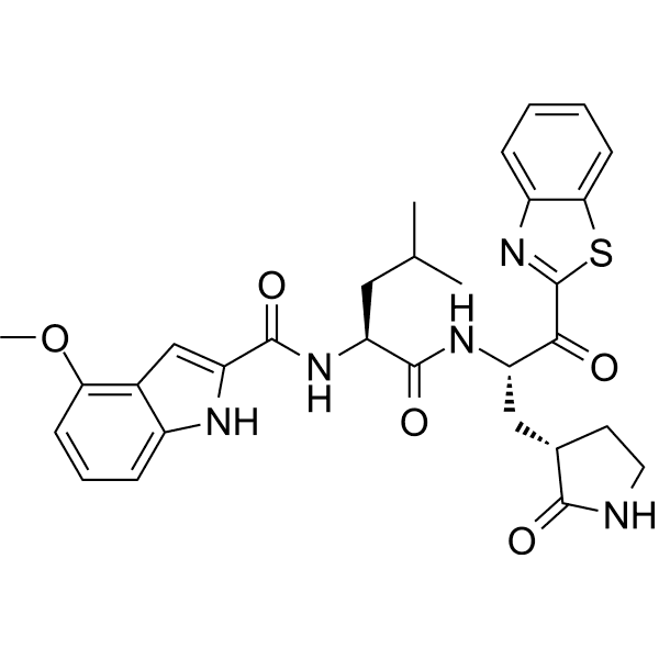 YH-53 Structure