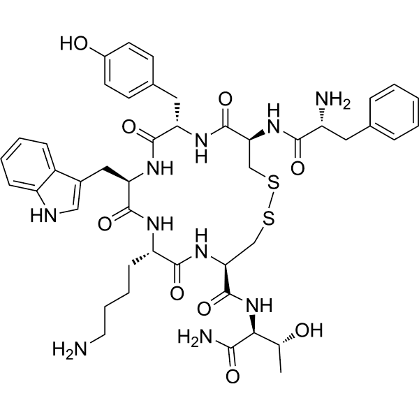 TT-232 Structure