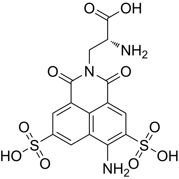 YADA Structure