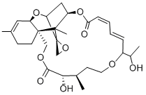 Roridin A Structure