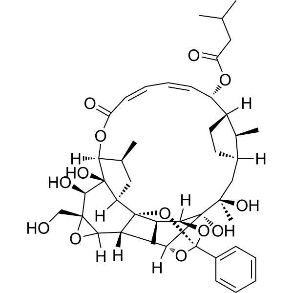 Trigothysoid N Structure