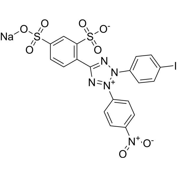 WST-1  Structure