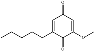 Primin Structure
