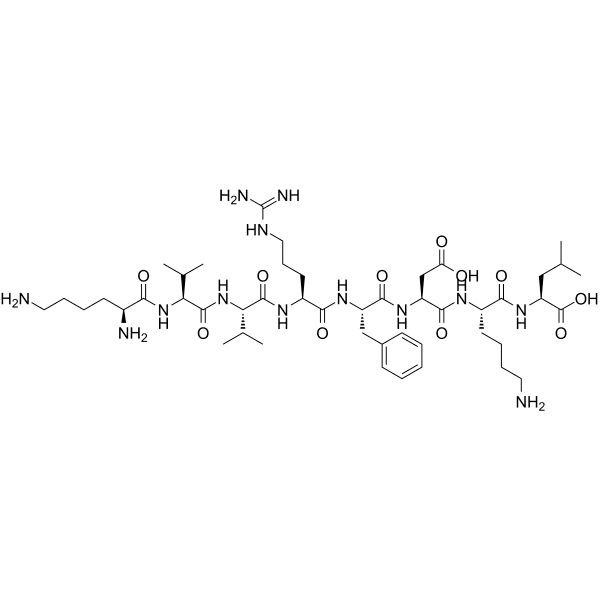 OVA (55-62) Structure