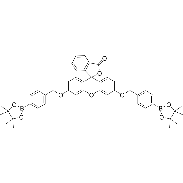 FBBBE  Structure