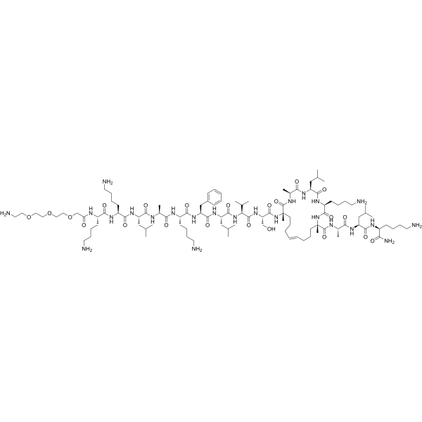 STAD 2  Structure