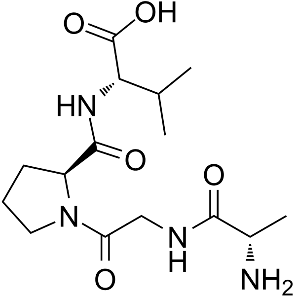 AGPV Structure