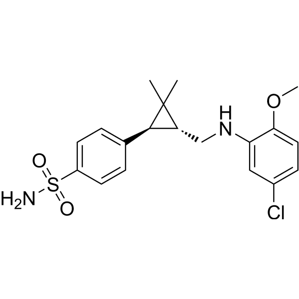 BNC375  Structure