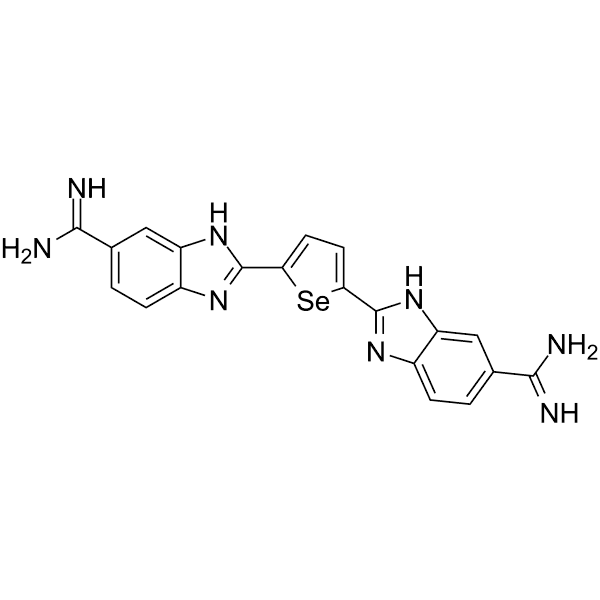 DB1976  Structure