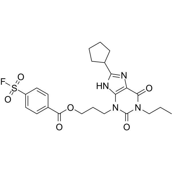 FSCPX  Structure