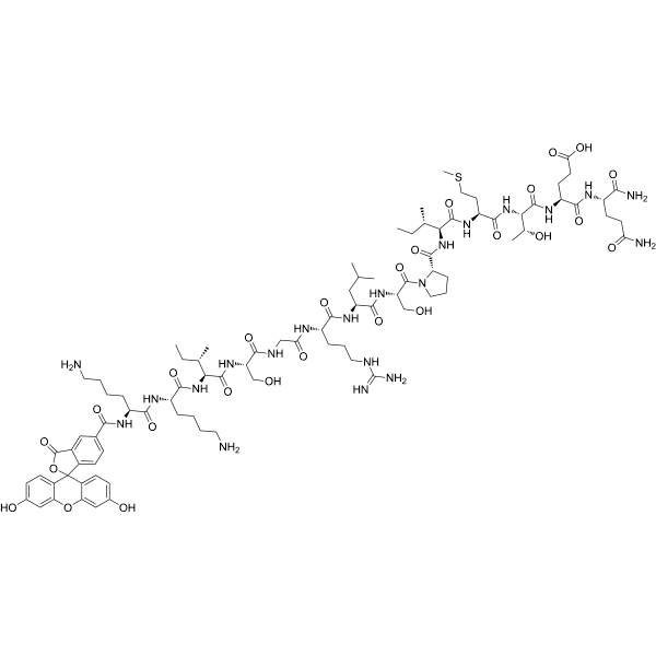 5-FAM-Woodtide Structure