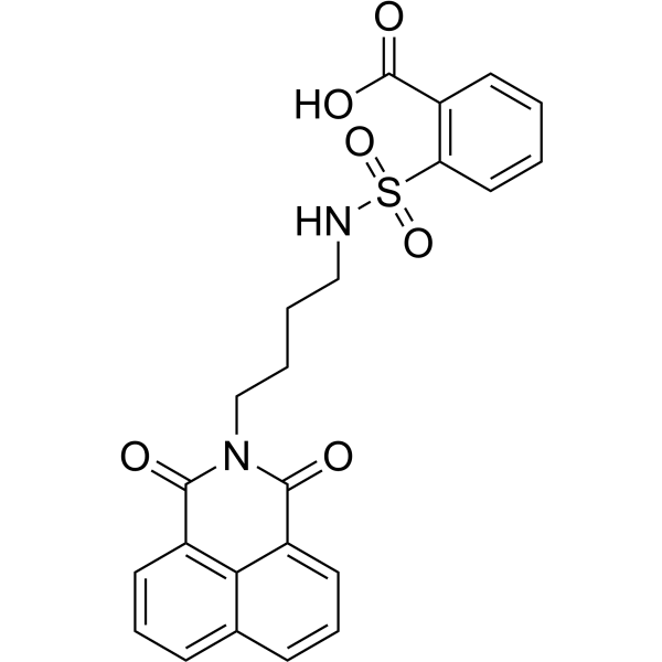 DBIBB  Structure