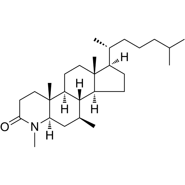 MK 386 Structure