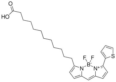 ABDP 558/568 C12, Red Structure