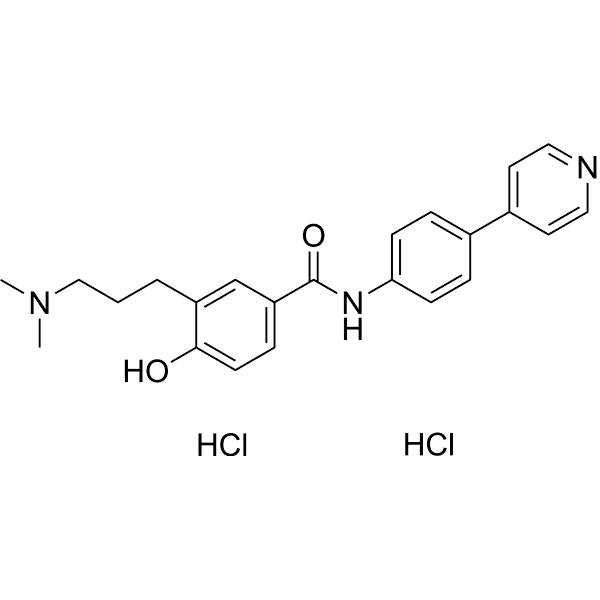 GR 55562 dihydrochloride Structure