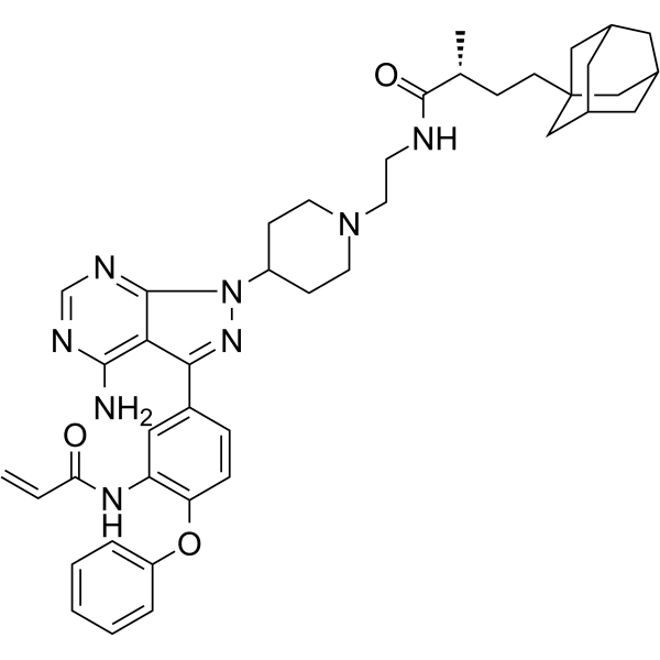 TX2-121-1  Structure