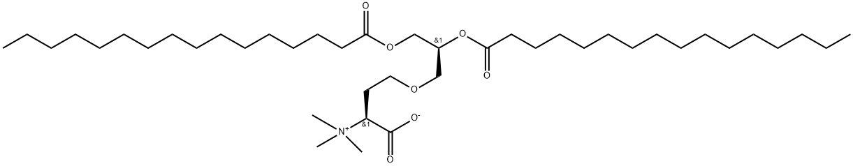 DGTS Structure
