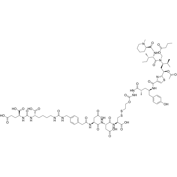 EC1169  Structure
